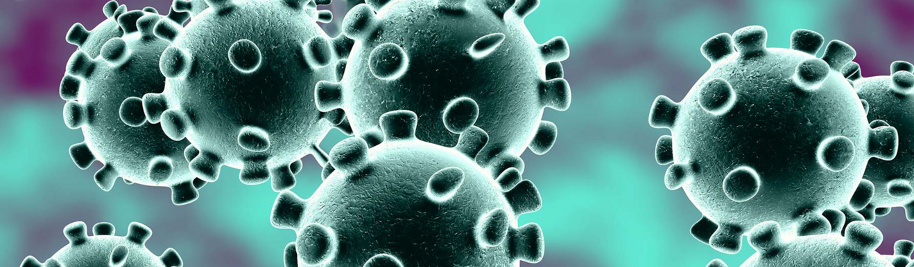 SNM News ¦ Diagnostic de l’infection par le SARS-CoV-2 : de la RT-PCR à la sérologie. - N°101