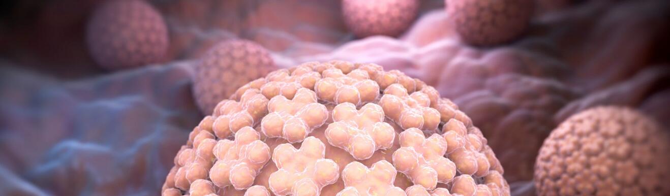 SNM News ¦ Rappel sur la vaccination contre les papillomavirus humains - N°103