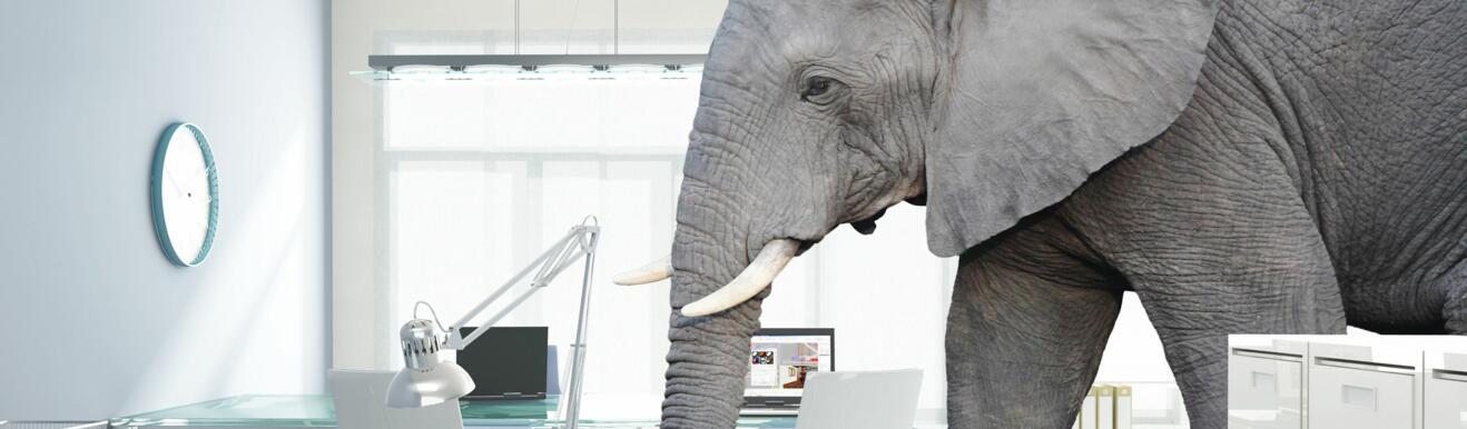 SNM News ¦ Editorial : Un éléphant dans la pièce - N°106